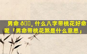男命 🕸 什么八字带桃花好命呢「男命带桃花煞是什么意思」